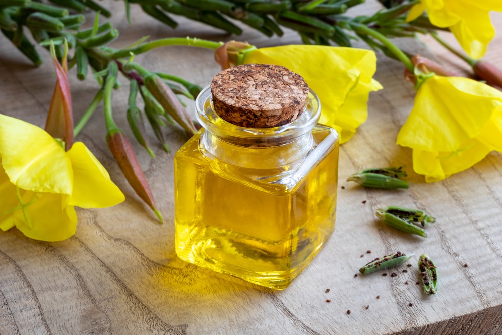 A bottle of evening primrose oil with oenothera biennis flowers, pods and seeds